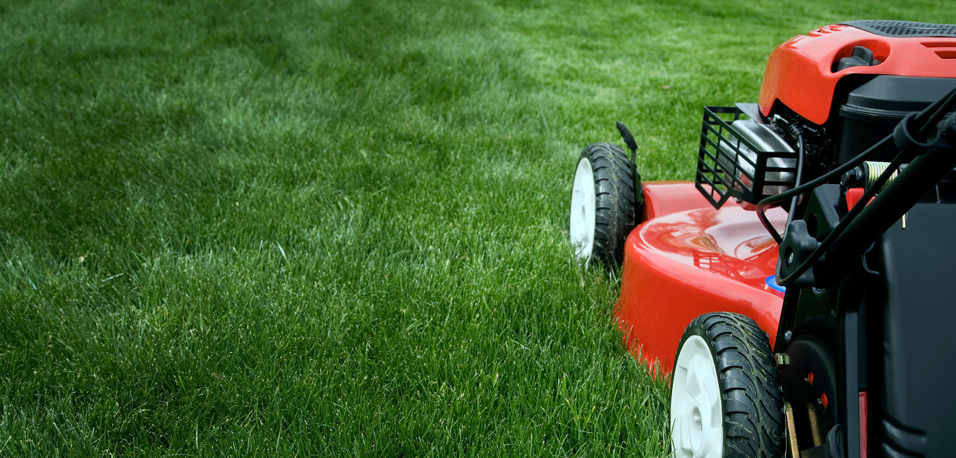 Full Range of Lawn & Landscaping Services